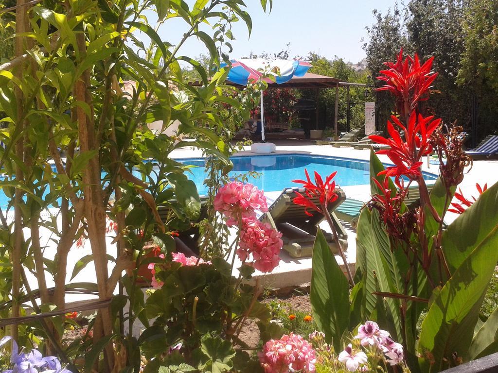 Paradise Garden Gumusluk Evleri Aparthotel Екстериор снимка